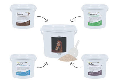Four tubs of Feedmark Supplements with arrows pointing towards the single tub of Bespoke