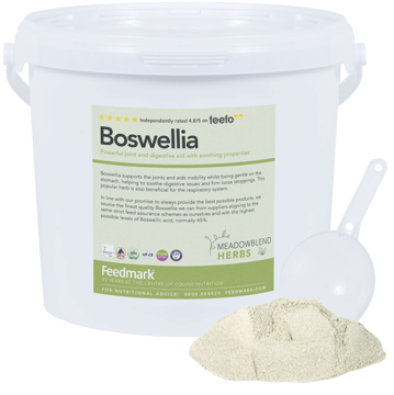 Boswellia