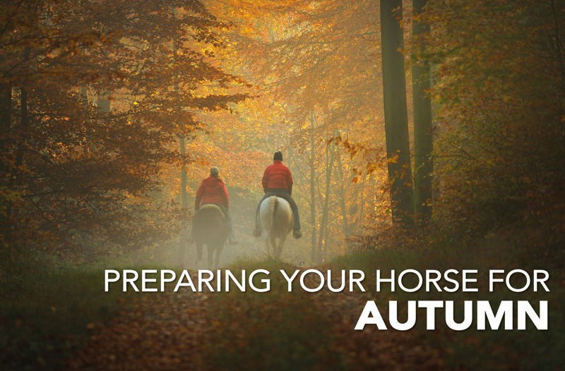 Preparing Your Horse For Autumn - Equine Science Matters™