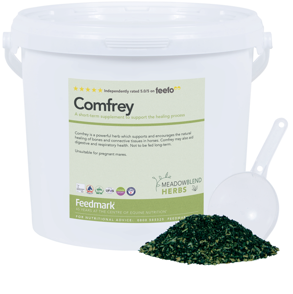 Picture of Comfrey