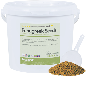 Picture of Fenugreek Seeds