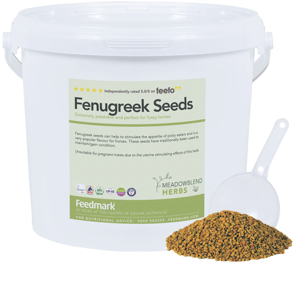 Picture of Fenugreek Seeds