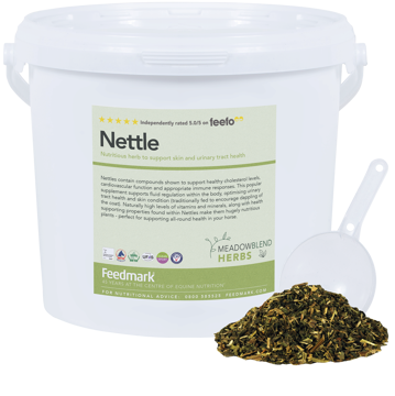 Picture of Nettle