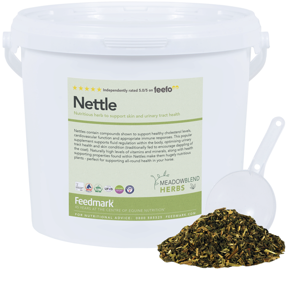 Picture of Nettle