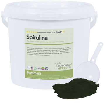 Picture of Spirulina