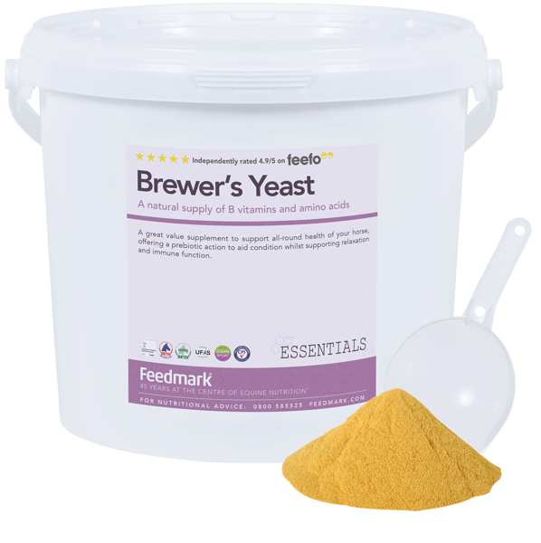 Picture of Brewer's Yeast