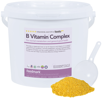 Picture of B Vitamin Complex