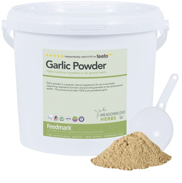 Picture of Garlic Powder