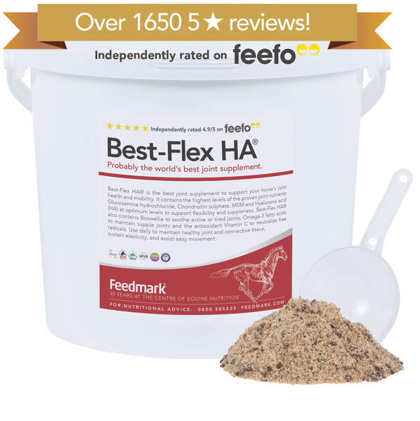 Picture of Best-Flex HA®