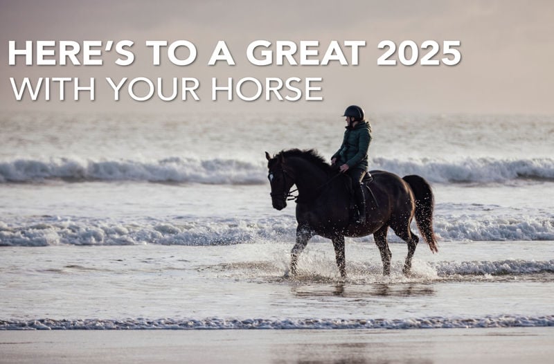 Here's to a great 2025 with your horse