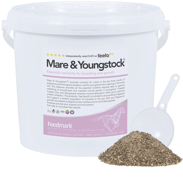 Mare & Youngstock™ Product Image