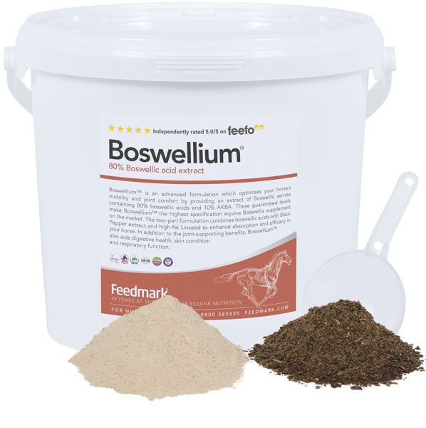 Boswellium™ Product Image 2024