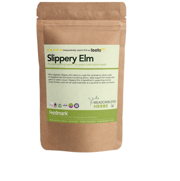 Picture of Slippery Elm