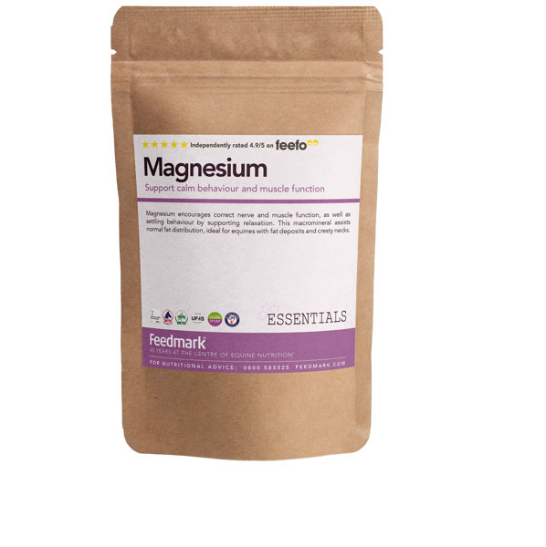 Picture of Magnesium