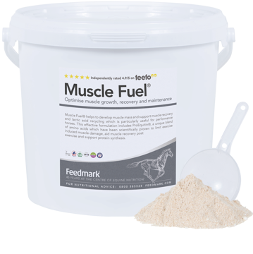 Picture of Muscle Fuel®