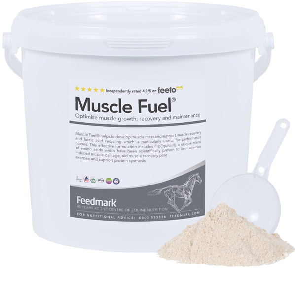 Picture of Muscle Fuel®