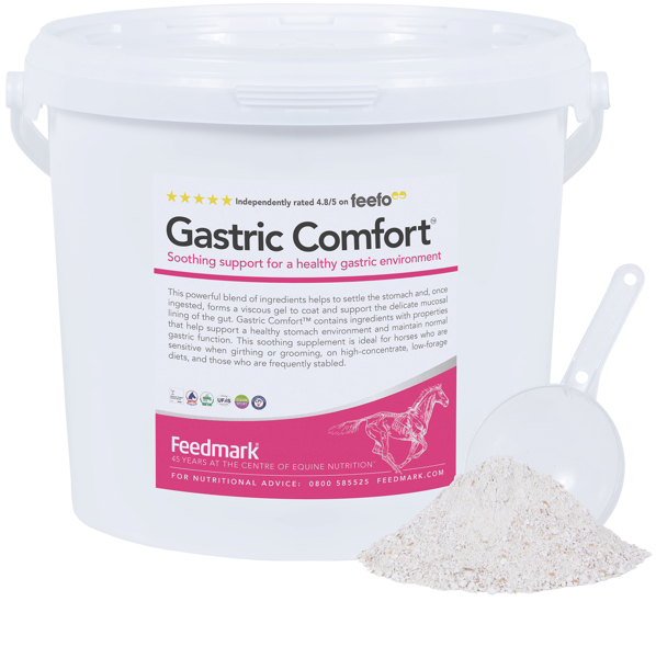 Gastric Comfort Product Image