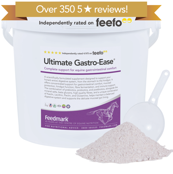 Ultimate Gastro-Ease Product Image