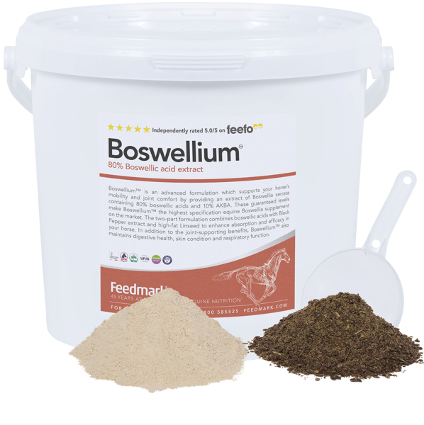 Boswellium™ Product Image 2025