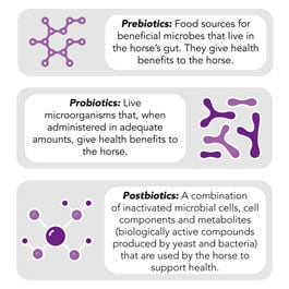 Biotics Infographic